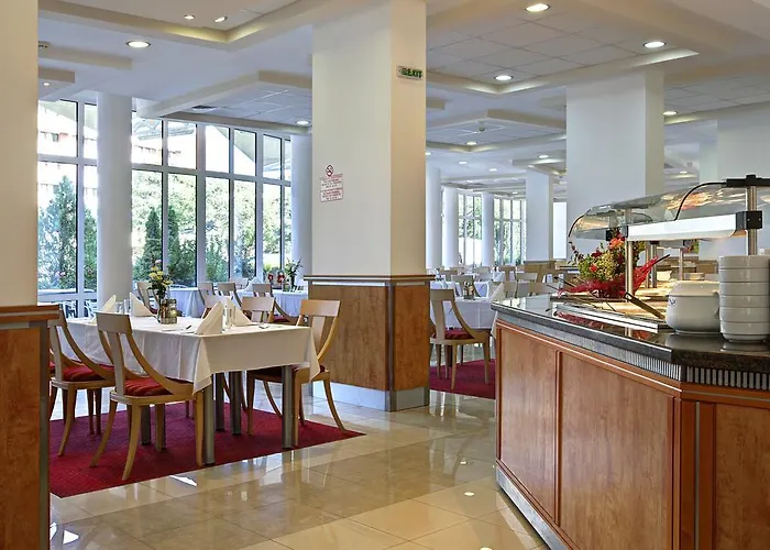 Hotel Fenix