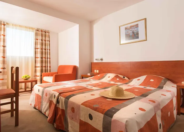 Hotel Fenix