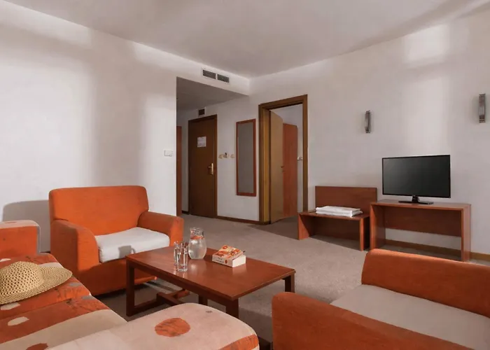 Hotel Fenix